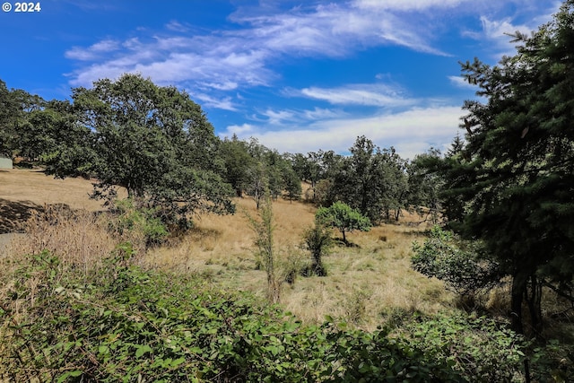 view of landscape with a rural view