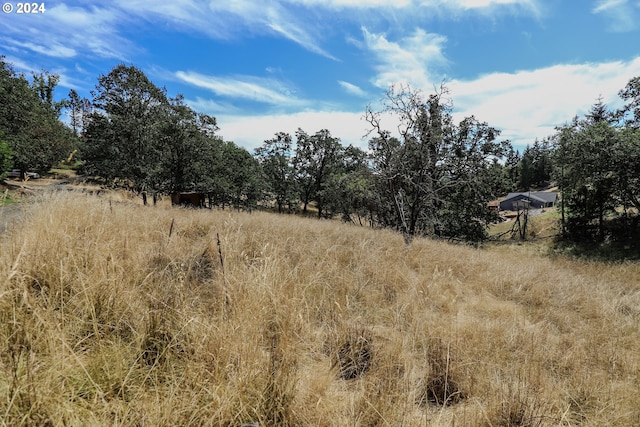 view of landscape with a rural view