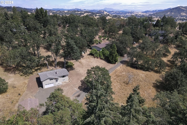 birds eye view of property featuring a mountain view