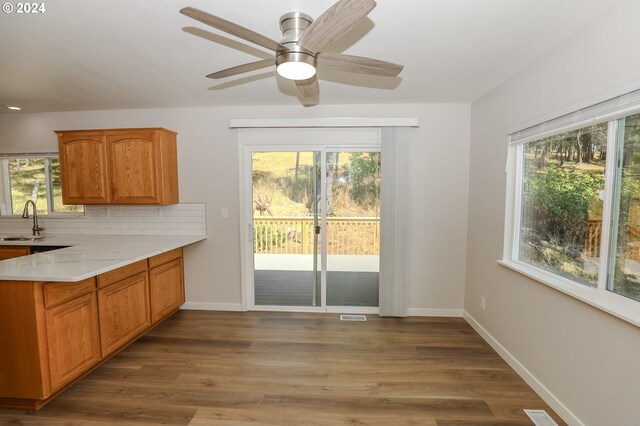 kitchen with sink, wood-type flooring, and plenty of natural light