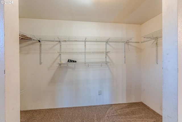 walk in closet featuring carpet flooring