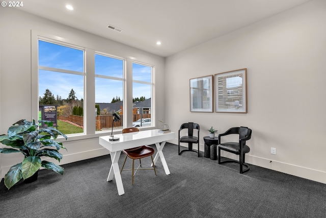 view of carpeted home office