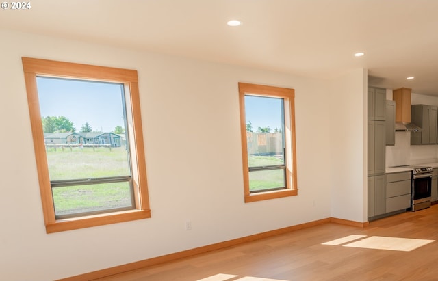 unfurnished living room with light wood-type flooring and plenty of natural light