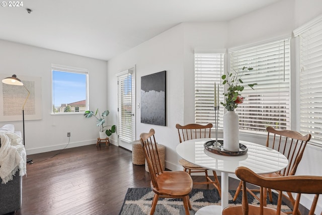 dining room with dark wood-type flooring and plenty of natural light