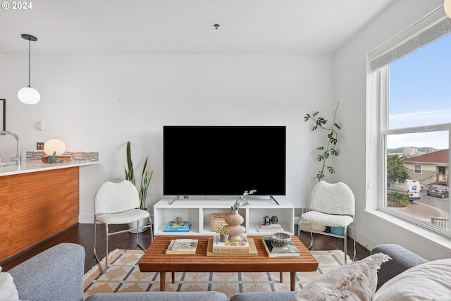 living room with hardwood / wood-style flooring and sink