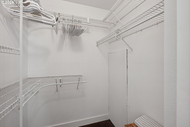 spacious closet featuring dark wood-type flooring