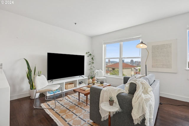 living room featuring dark hardwood / wood-style flooring