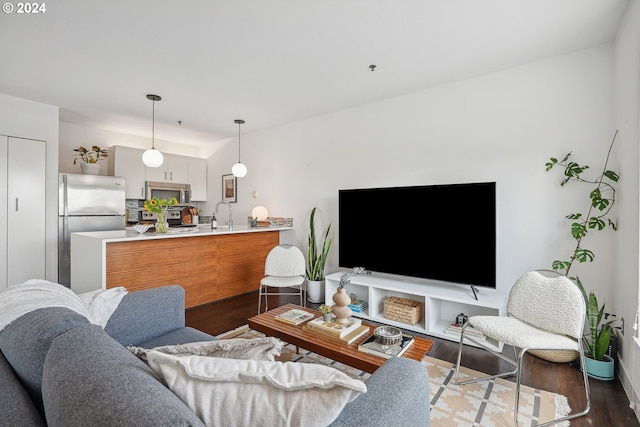 living room with sink and dark wood-type flooring