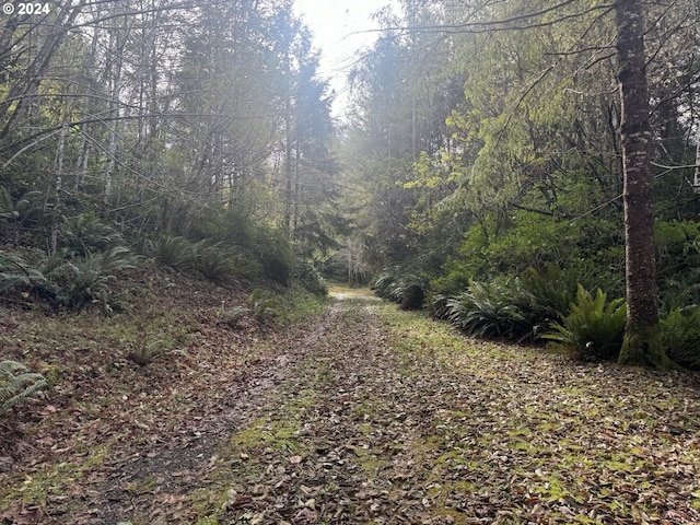 1 Potato Bottom Rd Unit 601, Lakeside, OR 97449