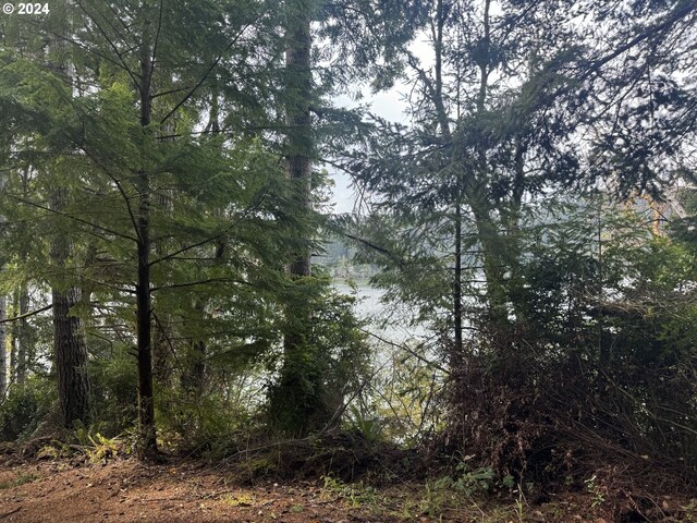 1 Potato Bottom Rd Unit 601, Lakeside, OR 97449