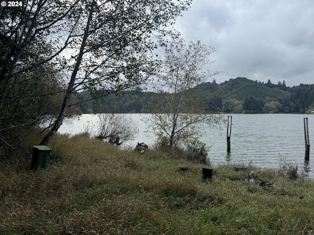 1 Potato Bottom Rd Unit 601, Lakeside, OR 97449