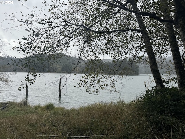 1 Potato Bottom Rd Unit 601, Lakeside, OR 97449