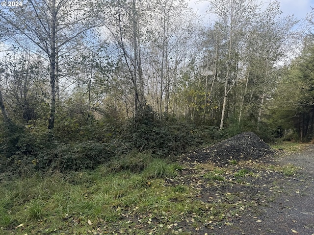 1 Potato Bottom Rd Unit 601, Lakeside, OR 97449