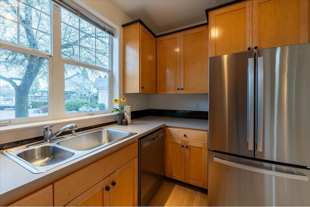 kitchen featuring sink, stainless steel appliances, and light hardwood / wood-style flooring