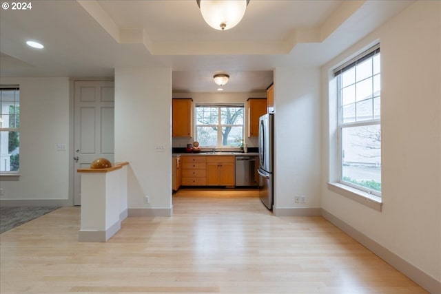 kitchen with appliances with stainless steel finishes, light hardwood / wood-style flooring, a raised ceiling, and sink