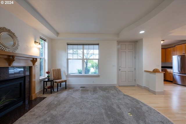 living room featuring a fireplace and light wood-type flooring