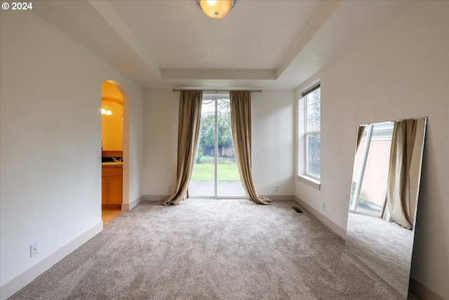 empty room with light colored carpet, a raised ceiling, and a healthy amount of sunlight