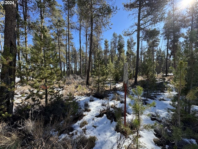 Deacon Dr Lot 3, Chiloquin, OR 97624