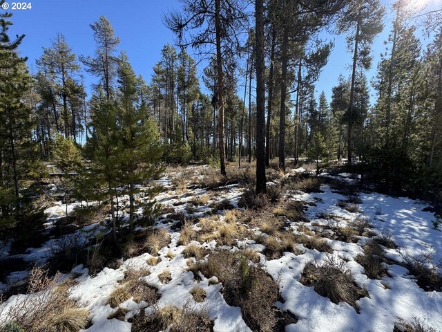 Deacon Dr Lot 3, Chiloquin, OR 97624