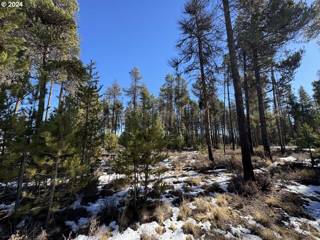 Deacon Dr Lot 3, Chiloquin, OR 97624