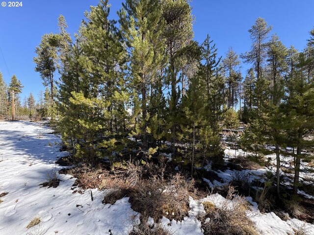 Deacon Dr Lot 3, Chiloquin, OR 97624