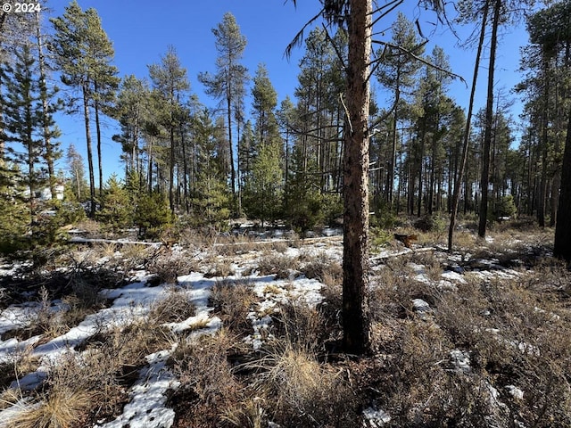 Deacon Dr Lot 3, Chiloquin, OR 97624