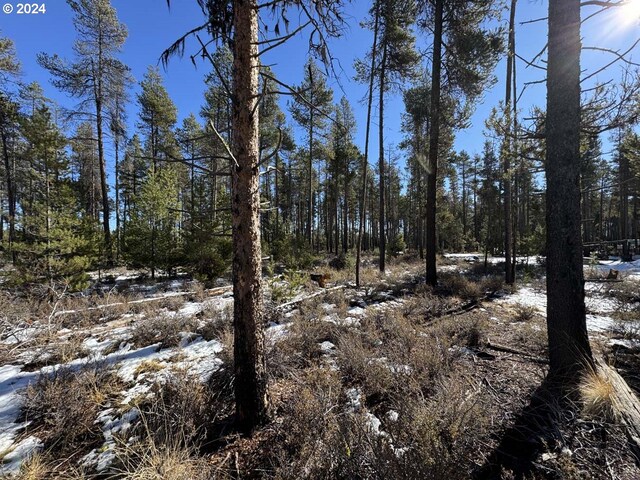 Deacon Dr Lot 3, Chiloquin, OR 97624