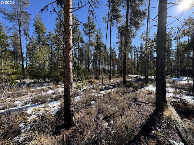 Deacon Dr Lot 3, Chiloquin, OR 97624