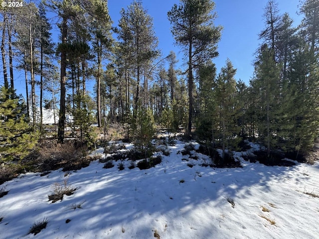 Listing photo 2 for Deacon Dr Lot 3, Chiloquin OR 97624