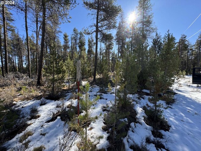 Deacon Dr Lot 3, Chiloquin, OR 97624