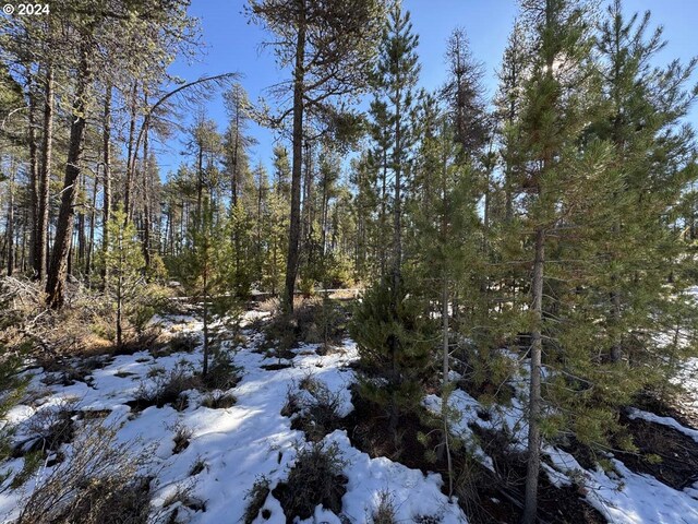 Deacon Dr Lot 3, Chiloquin, OR 97624