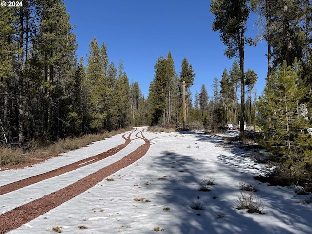 Deacon Dr Lot 3, Chiloquin, OR 97624