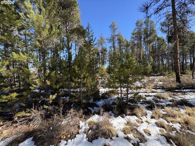 Deacon Dr Lot 3, Chiloquin, OR 97624