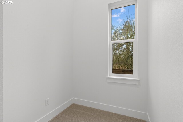 unfurnished room featuring carpet flooring