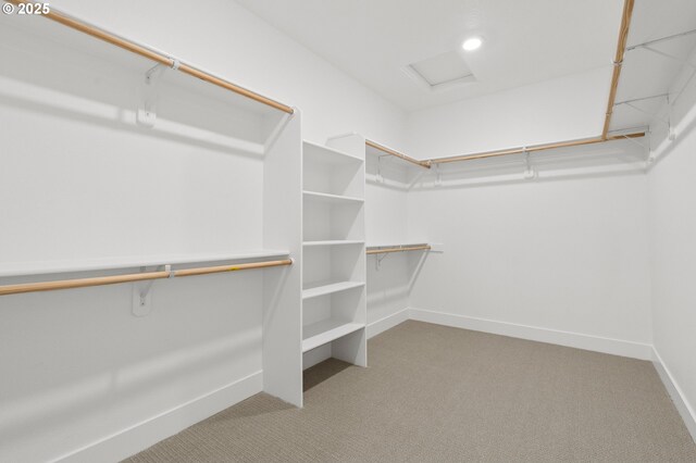 walk in closet featuring light colored carpet