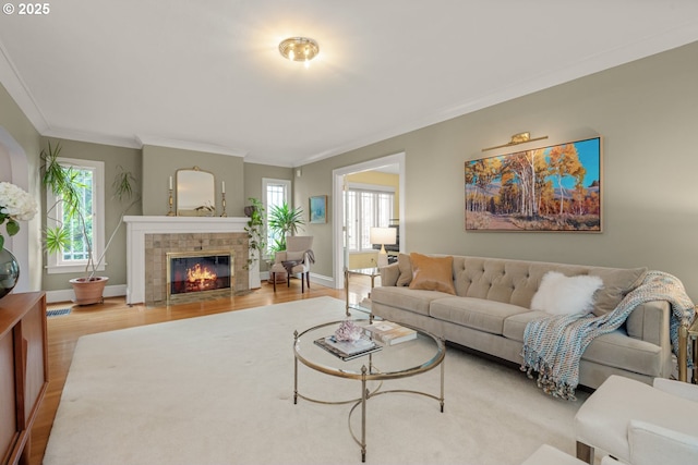 living area featuring baseboards, plenty of natural light, wood finished floors, and a fireplace