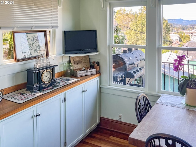 interior space with white cabinetry and dark wood finished floors