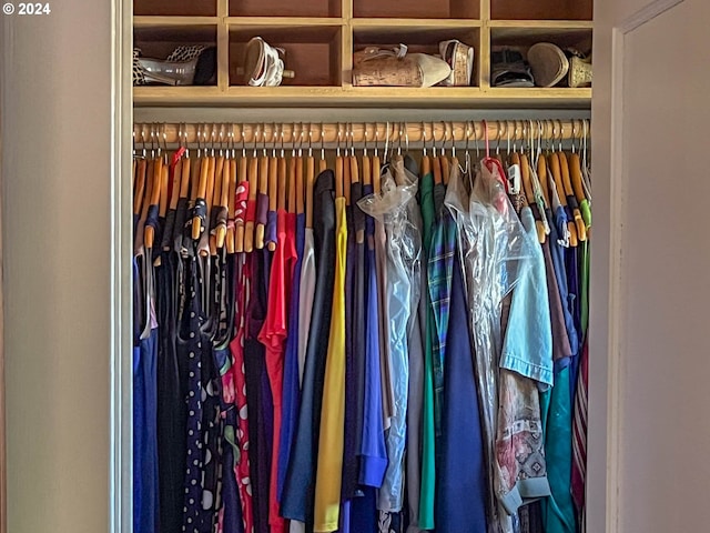 view of closet