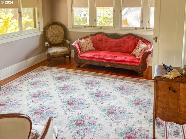 living area featuring a healthy amount of sunlight and hardwood / wood-style floors