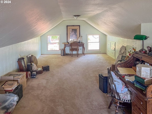 bonus room featuring light carpet, vaulted ceiling, and a healthy amount of sunlight