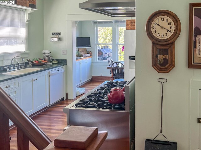 kitchen with white dishwasher, extractor fan, dark wood-type flooring, sink, and white cabinets