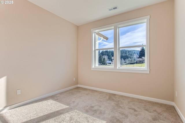 spare room with light carpet