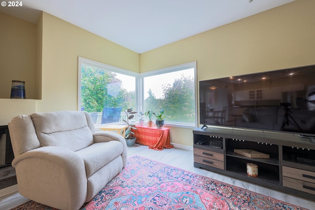 living area featuring wood finished floors