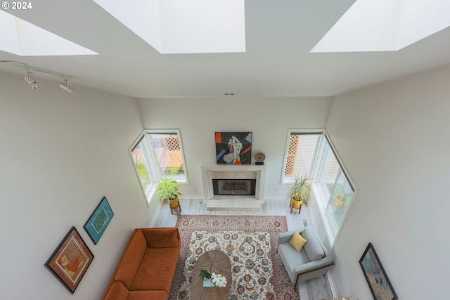 living area with track lighting, a fireplace, a skylight, and baseboards