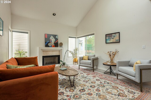 living room featuring a premium fireplace, baseboards, high vaulted ceiling, and wood finished floors