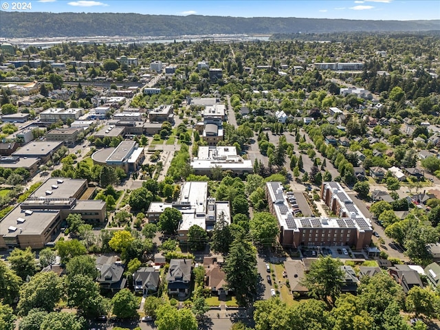 drone / aerial view with a mountain view