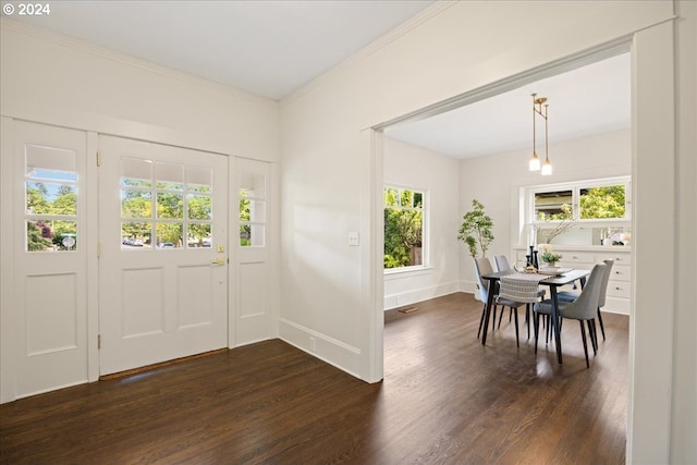 foyer entrance with ornamental molding, dark wood-type flooring, and a wealth of natural light