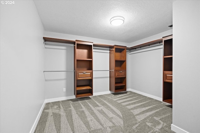 spacious closet featuring carpet flooring and a barn door