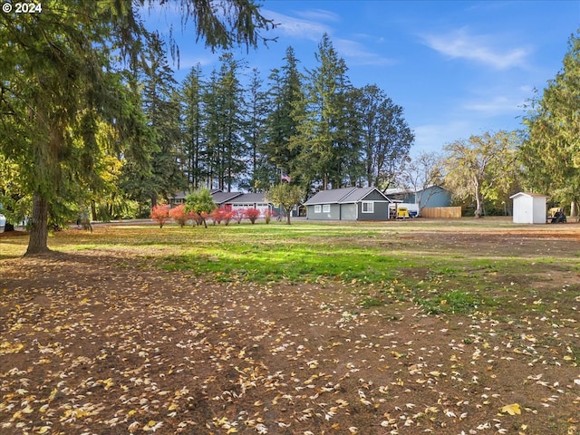 view of yard with a shed