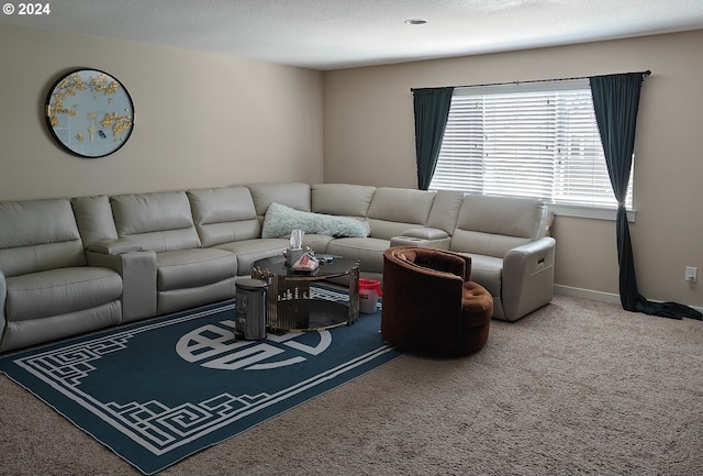 living room featuring carpet